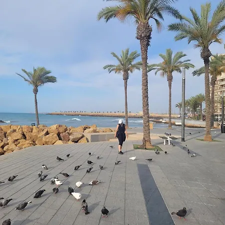 Locos Apartment Torrevieja
